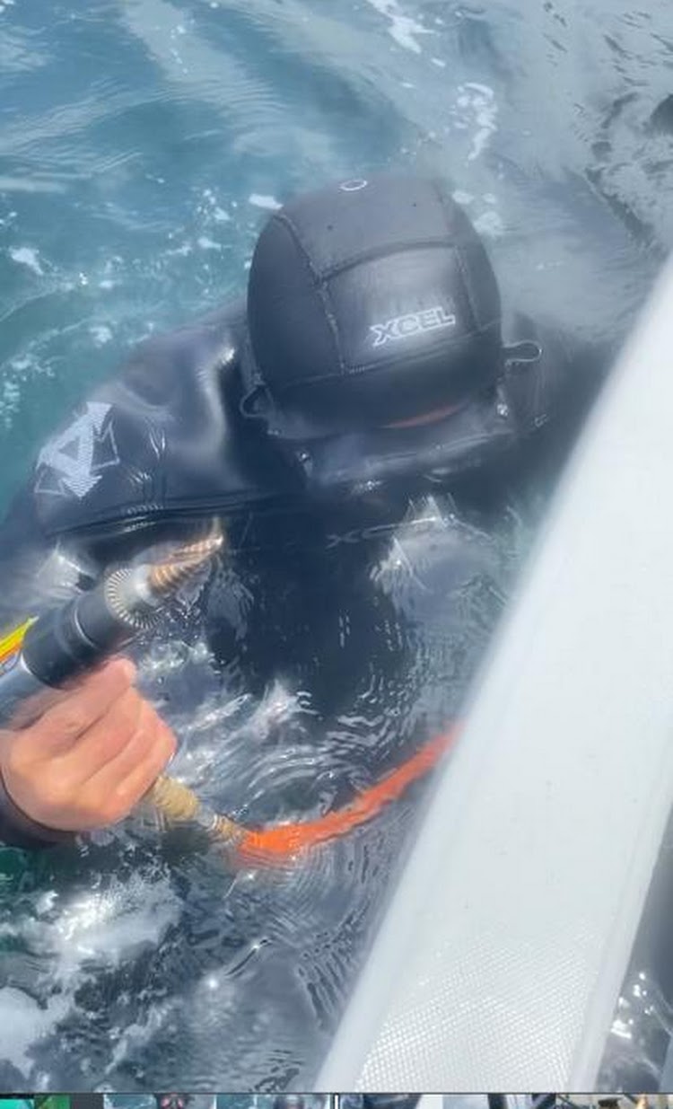 Diver carrying out underwater boat maintenance